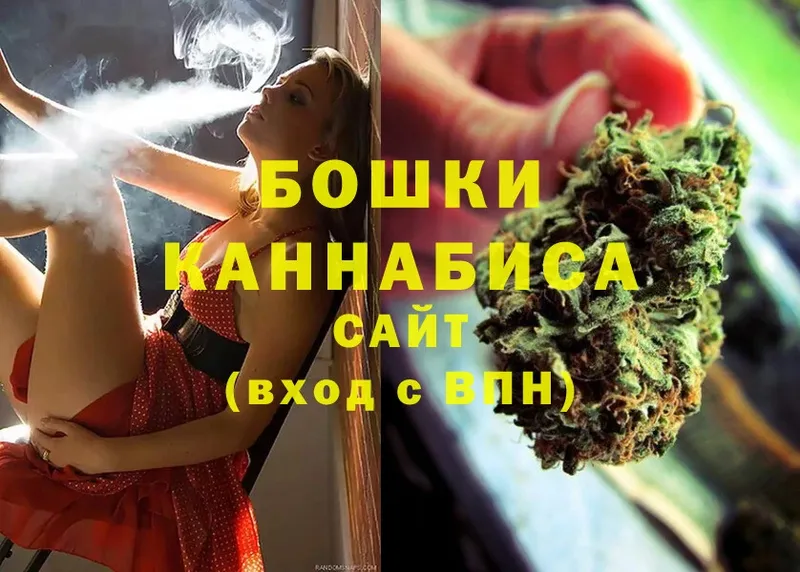 Каннабис OG Kush  Купино 